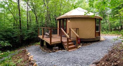 Enchanting Yurt Haven near Pisgah National Forest in North Carolina