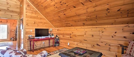 TV, fireplace, video games, DVD player