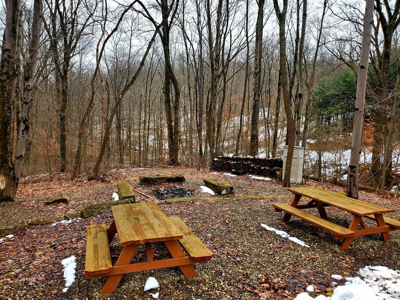 Une zone boisée équipée de tables de pique-nique et d’un foyer en pierre.
