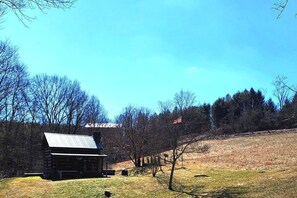 A rustic cabin with a metal roof, surrounded by a grassy field and trees.