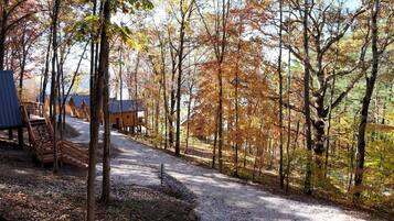 A forested area with a gravel path leading to wooden cabins.