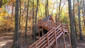A wooden cabin with a staircase leading to a loft area, surrounded by trees in a forest setting.