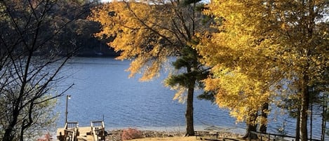 A lakeside view with a dock, trees with autumn foliage, and a clear sky.