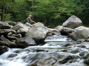 A river flowing over rocks with a person fishing.