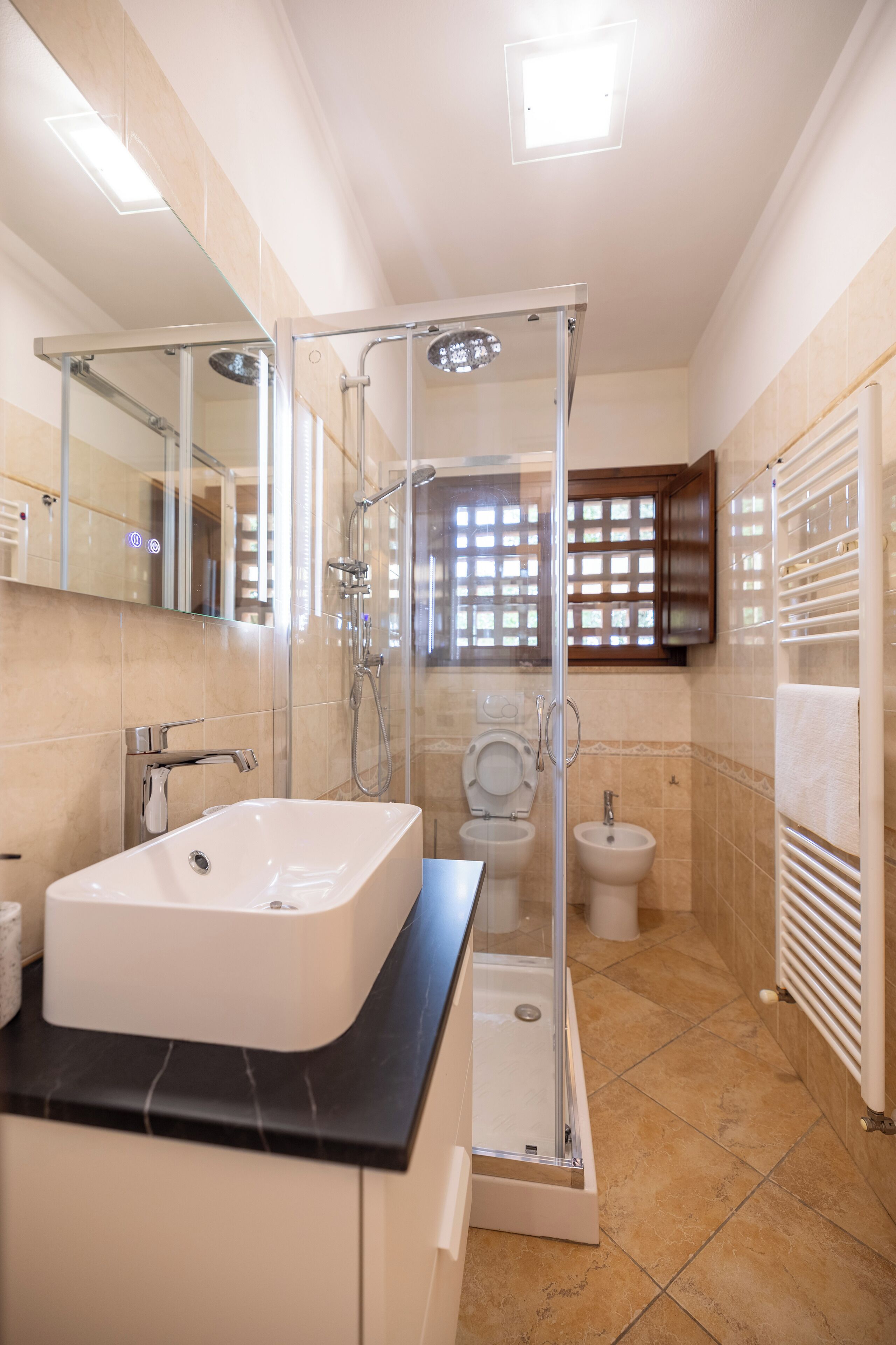 Shower, hair dryer, bidet, towels