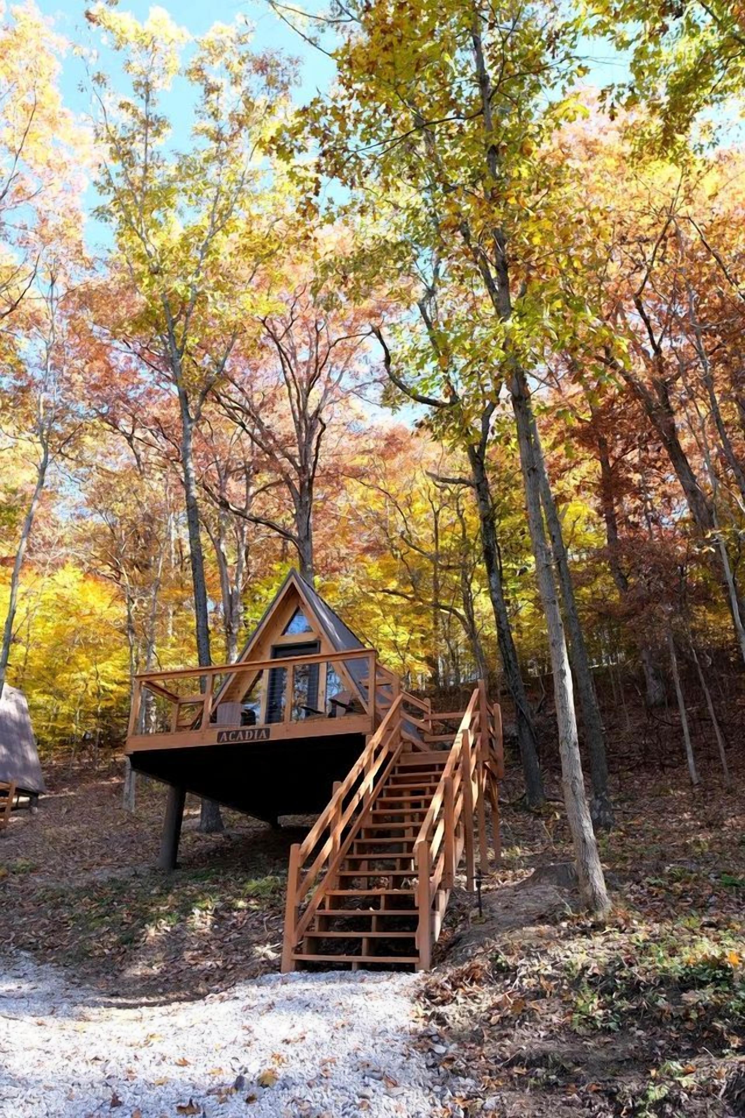 Eine Holzhütte mit einer Holztreppe und einer Terrasse, umgeben von Bäumen im Herbstlaub.