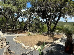 A landscaped garden with trees, a cactus, and a stone pathway.