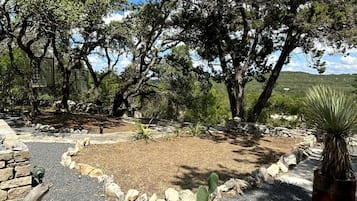 A landscaped garden with trees, a cactus, and a stone pathway.