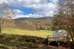 المنطقة المحيطة بالمنشأة