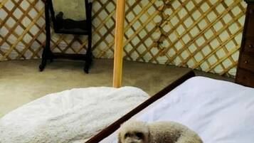 1 quarto, roupa de cama