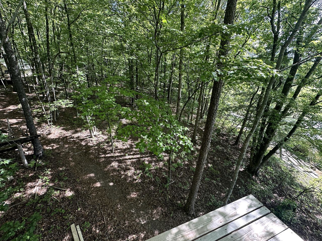 A forested area with a wooden deck.