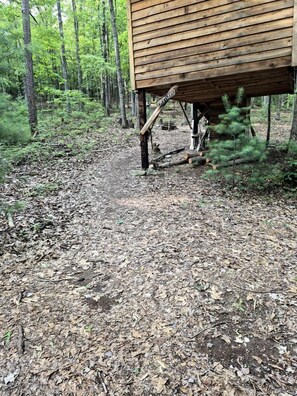 Metsässä sijaitseva puinen mökki, jolle johtaa sorainen polku.
