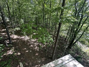 A forested area with a wooden deck. - Radiant Forest Vacation Rental Haven Near Piney River, Tennessee (Grandview)