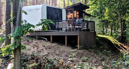 Secluded Modern Tiny House with Wood-Fired Hot Tub Near Trails in Sears, Michigan
