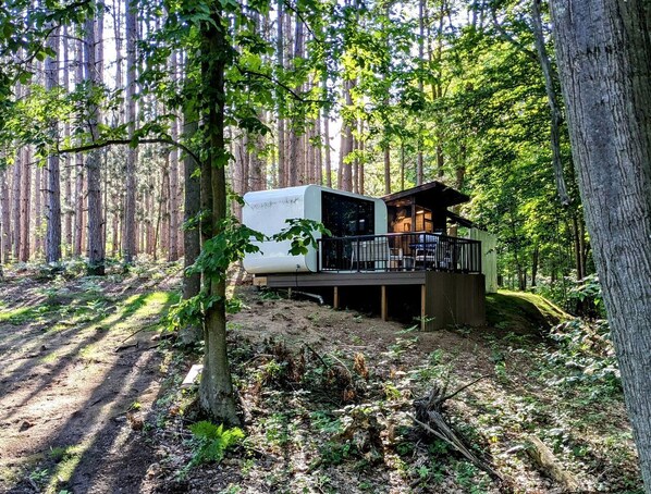 Una cabaña en el bosque con un balcón, rodeada de árboles altos y un sendero de tierra.
