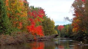 Unclassified image, 4 of 6, button - Family-Friendly Cabin Rental for 10 in the Huron National Forest, Michigan (Grayling)
