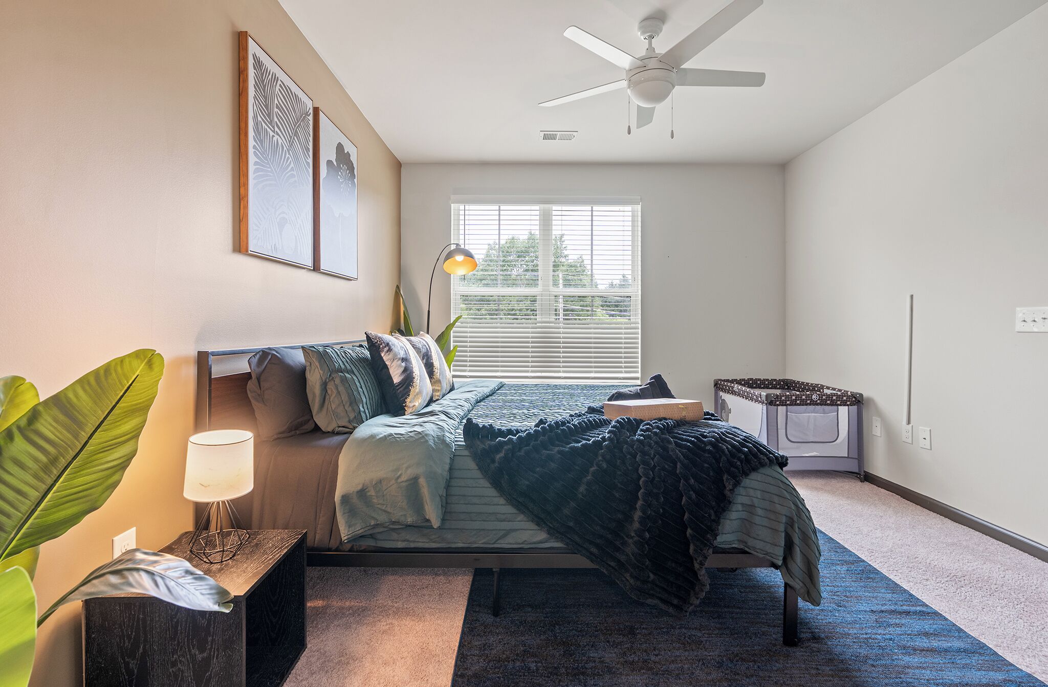 公寓 | 免费 WiFi