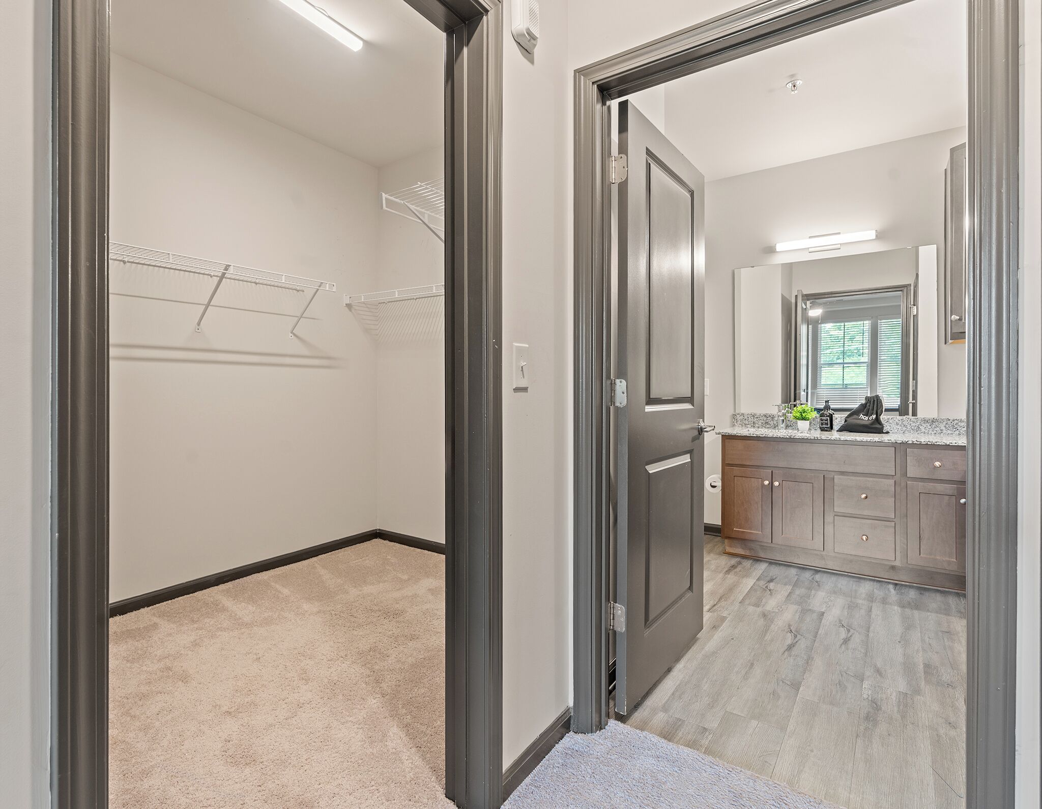 Apartment | Bathroom