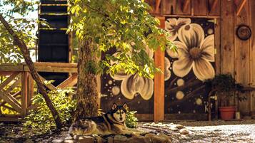 A dog resting under a tree in a rustic outdoor setting with a wooden structure and a mural in the background.