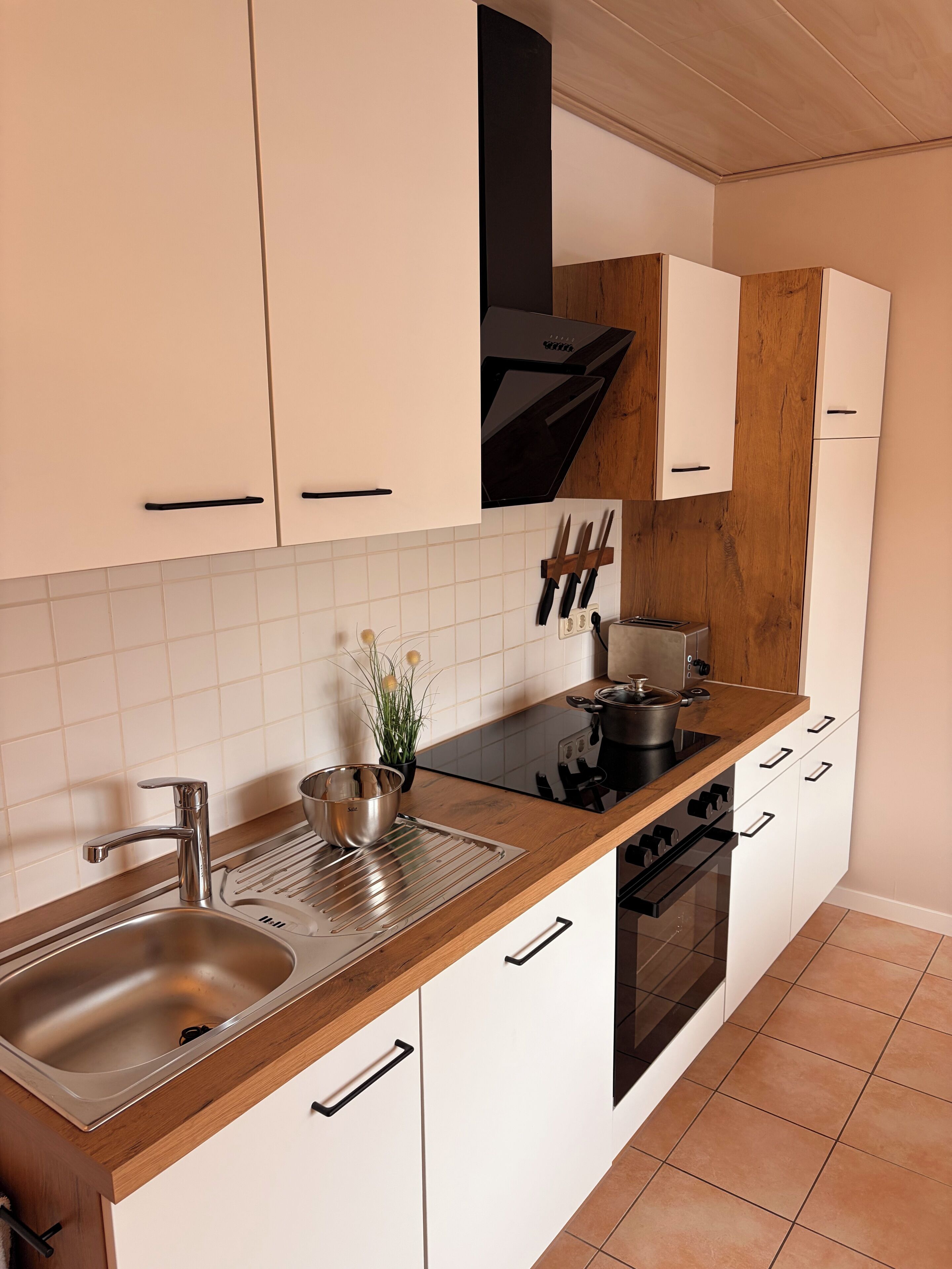 Fridge, oven, stovetop, dishwasher