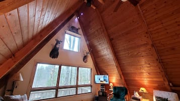 TV, DVD-spiller, filmbibliotek og stereoanlegg