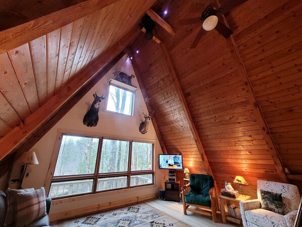 TV, DVD player, video library, stereo