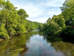 Um rio rodeado por árvores verdes densas e um edifício à direita.