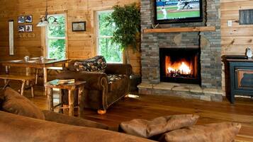 TV, fireplace