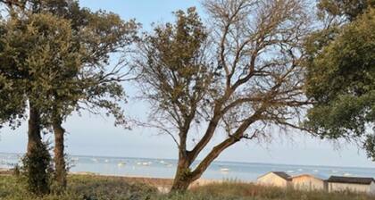 Very comfortable villa with sea view -