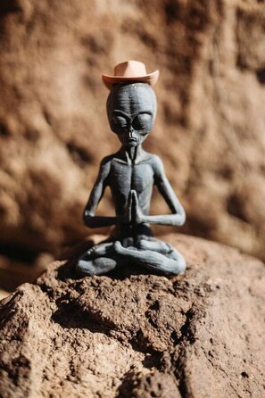 A small, dark-colored statue of a figure in a meditative pose on a rock.