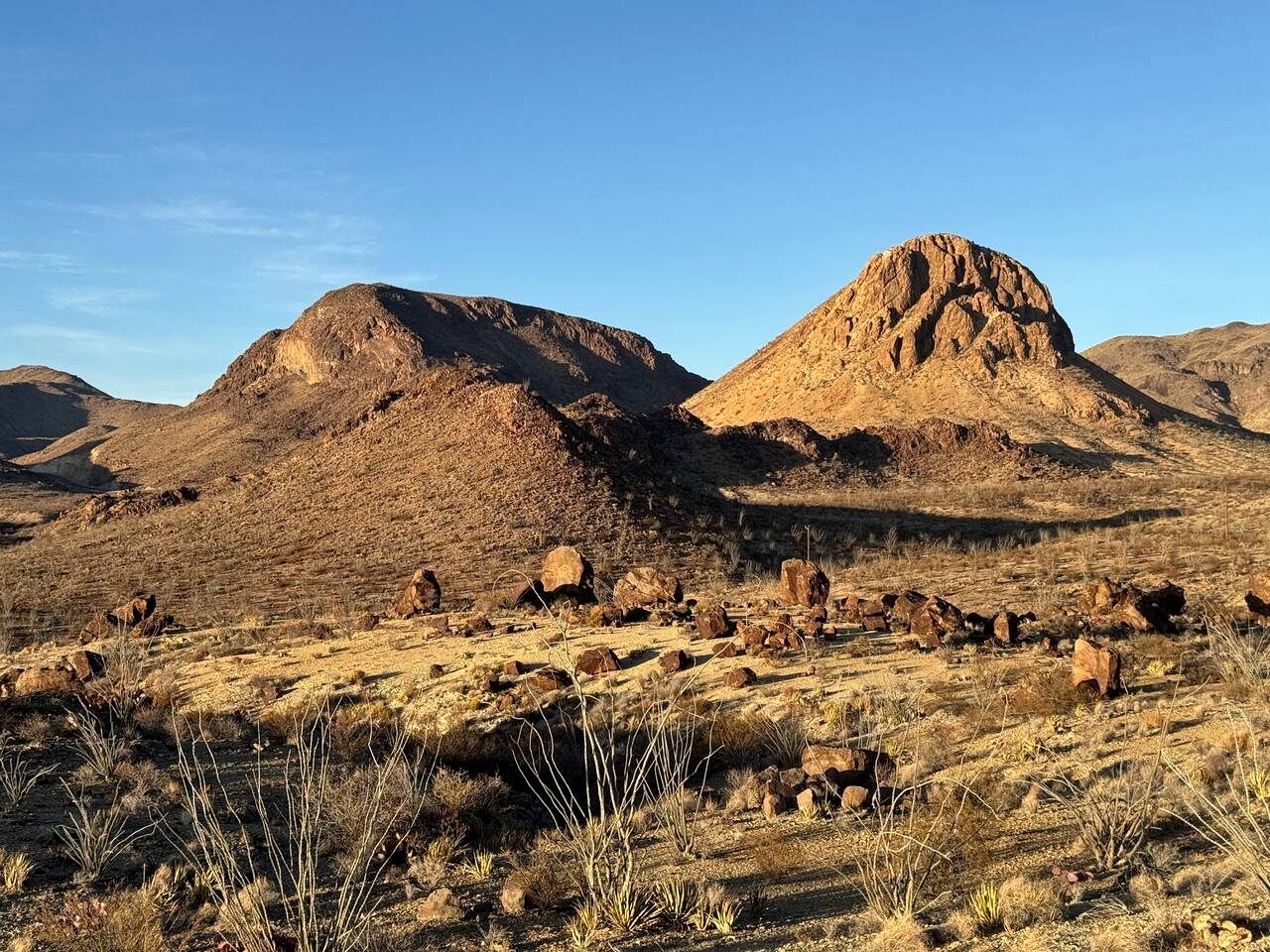 Paisaje desértico con terreno rocoso y vegetación escasa.