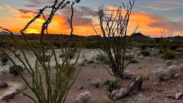 Paisaje desértico con vegetación escasa y una puesta de sol al fondo.