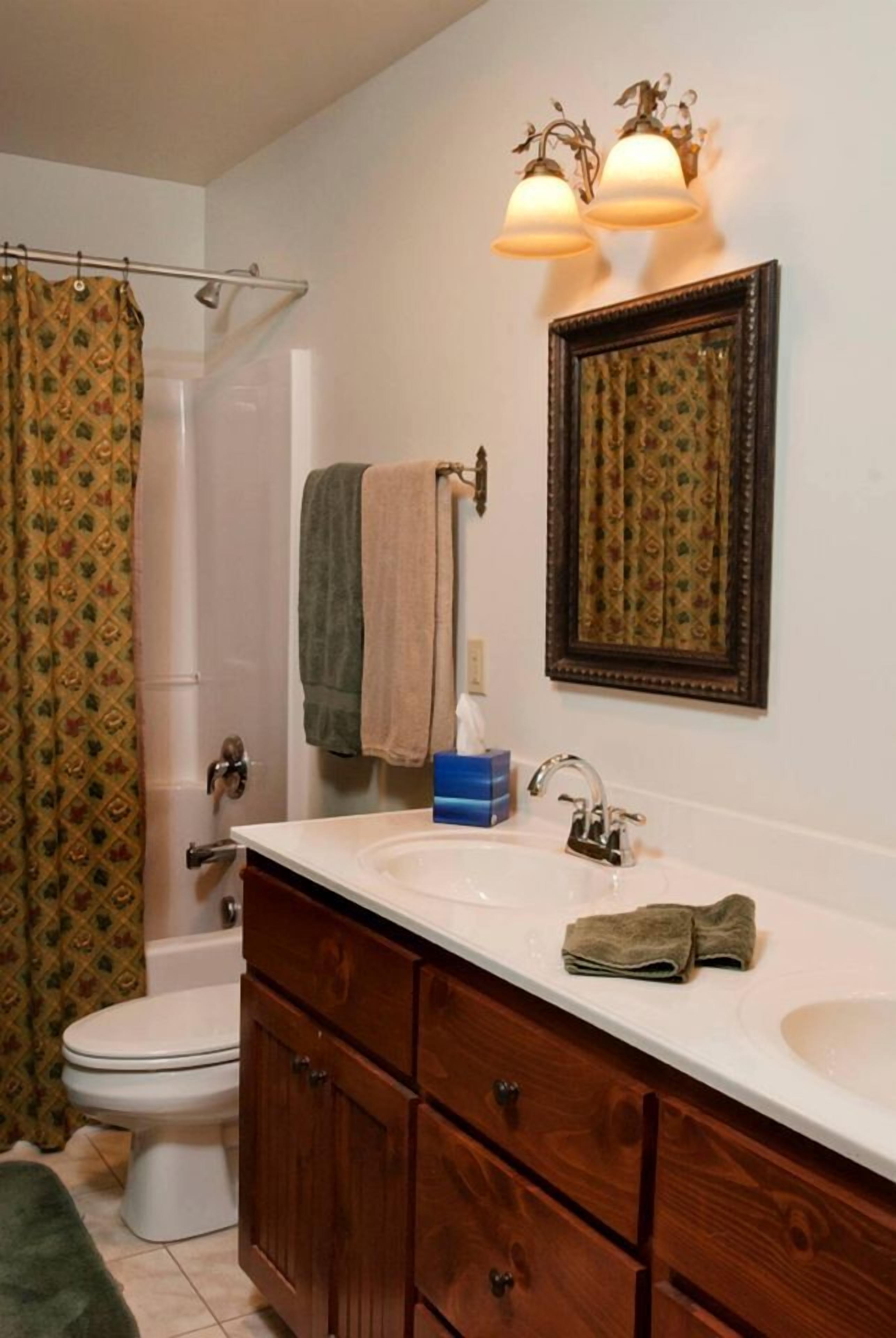 Jetted tub, hair dryer, towels, soap