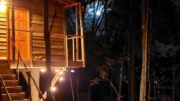 A wooden cabin with a staircase leading to a deck, surrounded by trees and a leaf-covered ground. - Cozy Treehouse Tent with Forest Trails near Waterfalls in Cumberland Plateau, TN (Grandview)