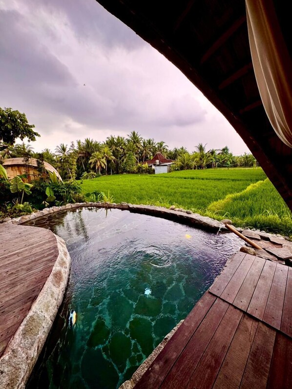 Une piscine aux eaux cristallines, bordée d’une terrasse en bois, entourée d’une végétation luxuriante et avec une maison visible au loin.