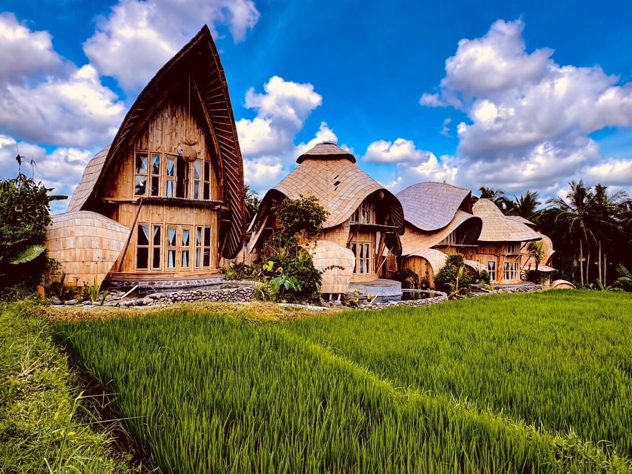 Villa de luna de miel, 1 cama de matrimonio grande, cocina básica, vistas al jardín | Ropa de cama hipoalergénica, edredones de plumas, minibar y caja fuerte