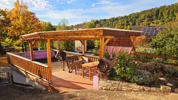 A wooden pergola with a seating area, a horse, and a solar panel array in a garden setting. - Apartment Gerda (Pappenheim)