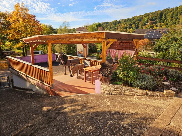 Terrace/patio - Apartment Gerda (Pappenheim)