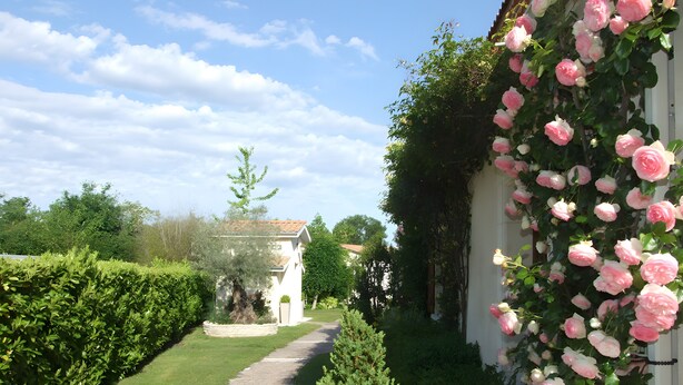 Un chemin de jardin mène à un bâtiment à la façade blanche, bordé d’un côté par une haie verte.