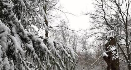 Le Moulin Inattendu par Bonne Vie