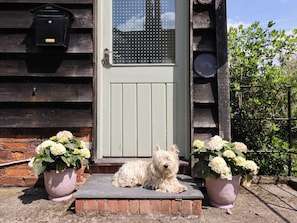 Cottage | Exterior detail - Upper Pandy Farm (Welshpool)