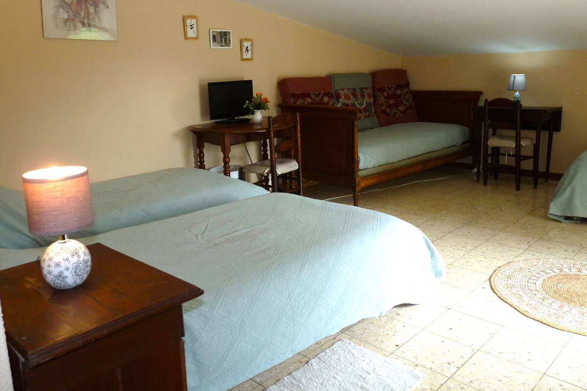 Un dormitorio con dos camas, un escritorio, una silla, un televisor y una lámpara.
