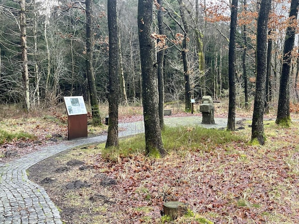 House | Exterior - 4 Star Holiday Home in Silkeborg (Silkeborg)