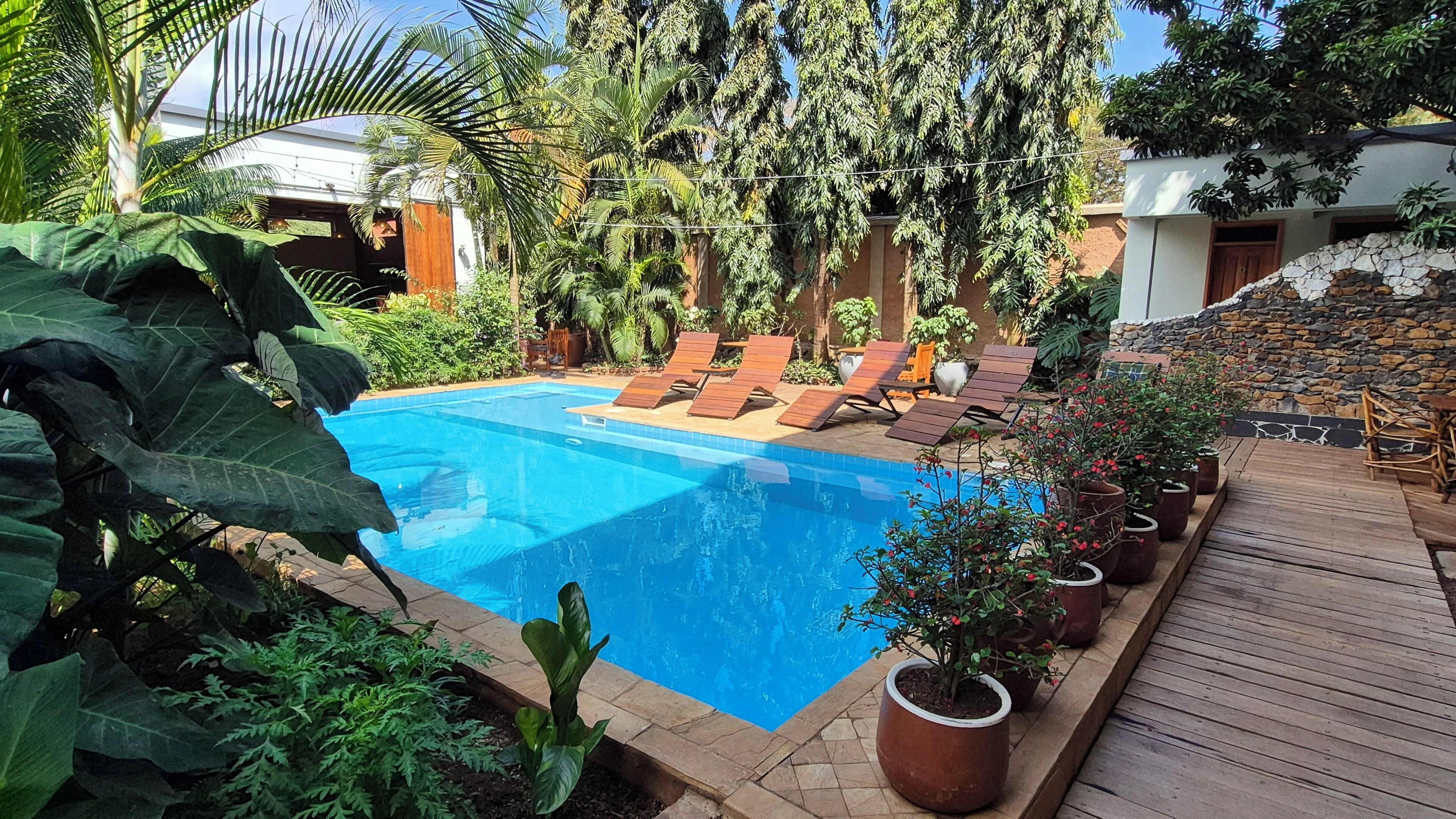 Hồ bơi ngoài trời 