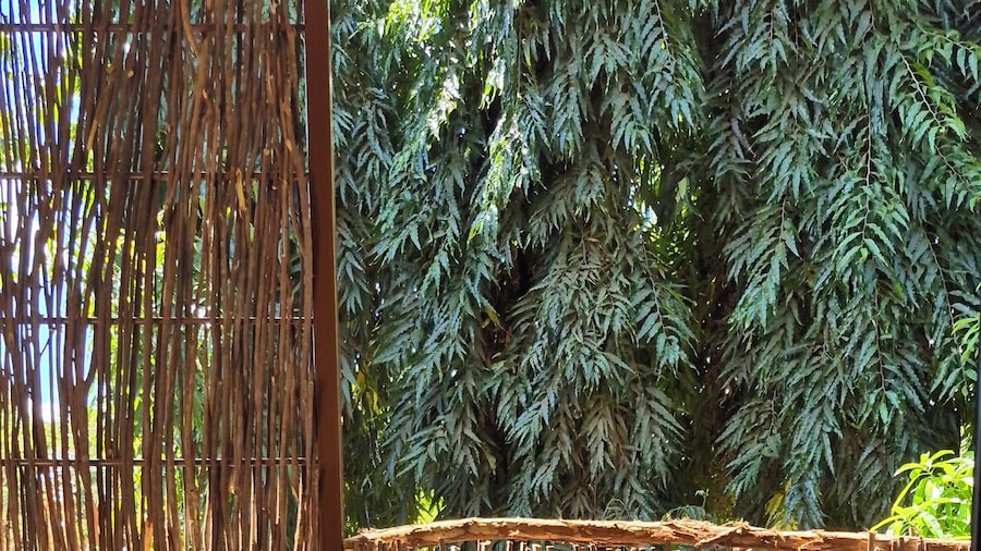 Explorers Kilimanjaro Boutique Hotel