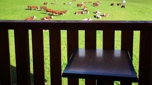 Blick auf eine grüne Wiese mit grasenden Kühen, einem Holzzaun und einem Tisch im Vordergrund.