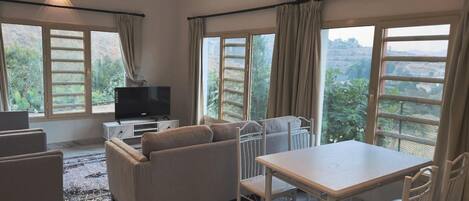 Smart TV 48 pulgadas con canales de televisión digitales