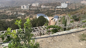 Ngoại thất