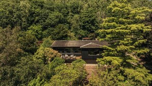 Una casa moderna rodeada de un bosque frondoso.