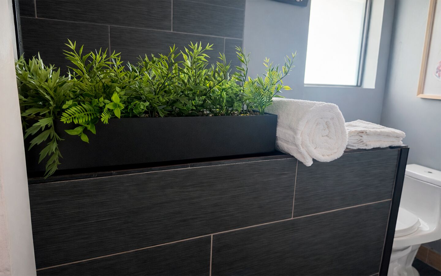 Douche, serviettes fournies